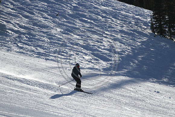 E7D_3285