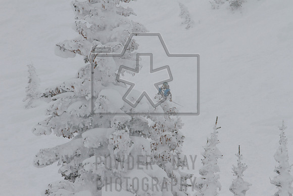 _MG_0494