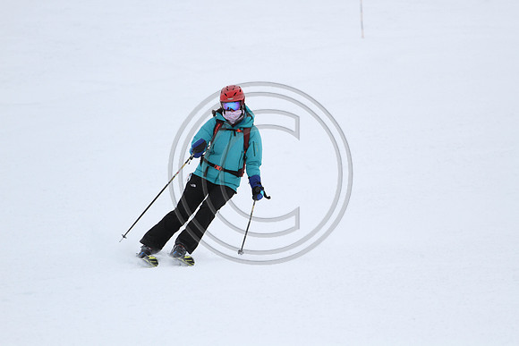 E7D_4658