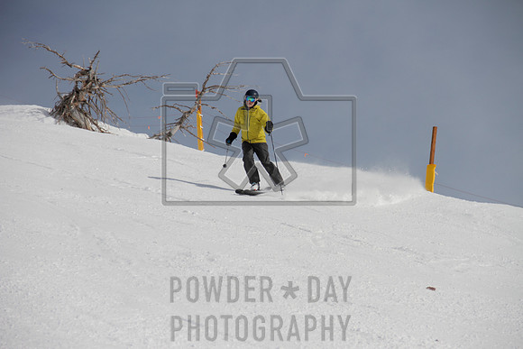 _MG_0421