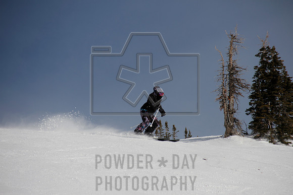 _MG_0100