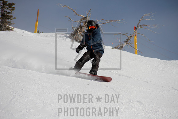 _MG_0293