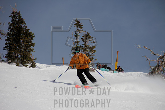 _MG_0492