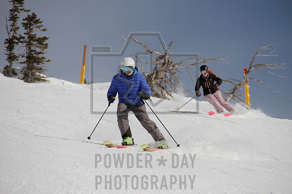 _MG_0335