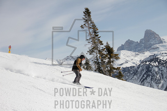 _MG_0460