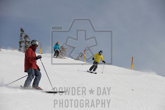 _MG_0422