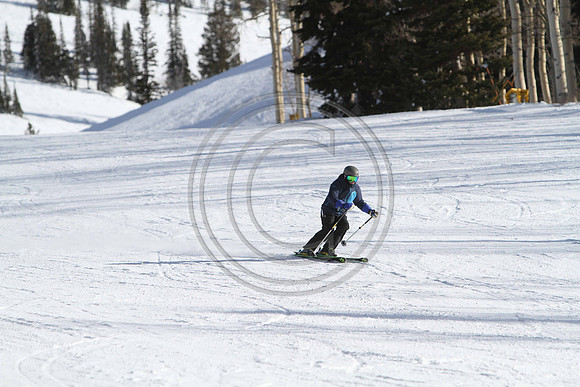 IMG_0377