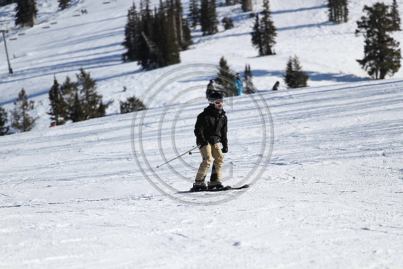 E7D_0553