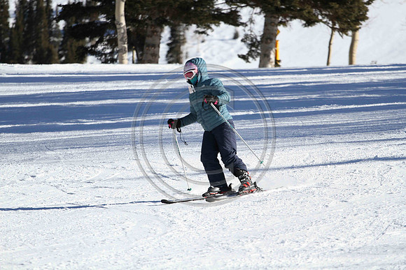 E7D_3074
