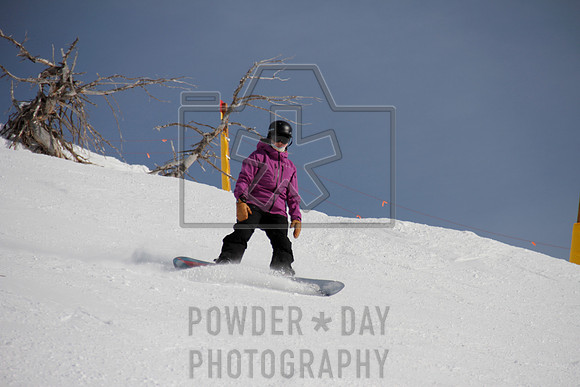 _MG_0203