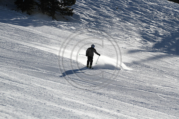 E7D_3327