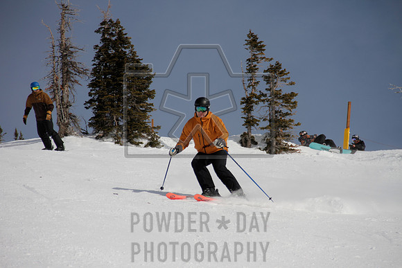 _MG_0493