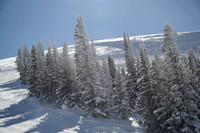 Chief Joe's Bowl AM JT