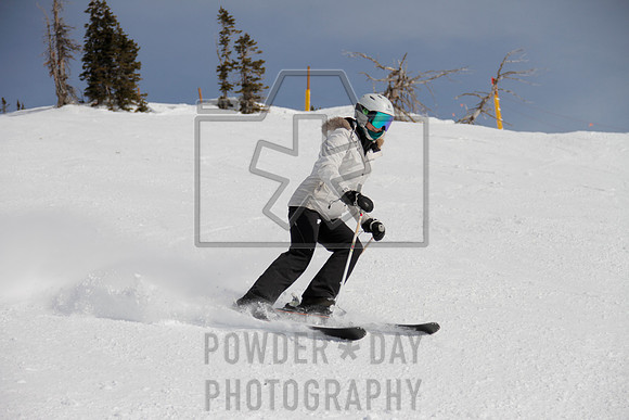 _MG_0444