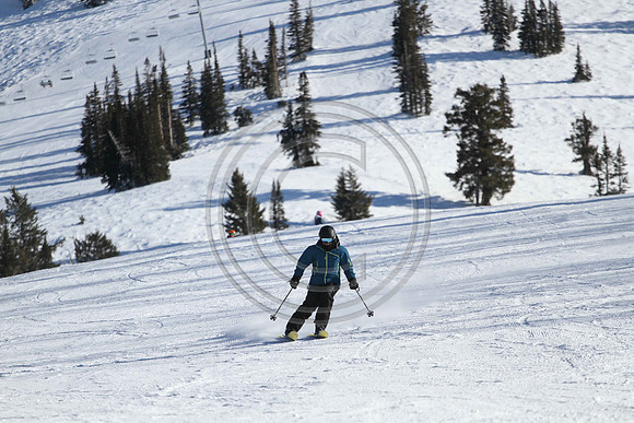 E7D_0498