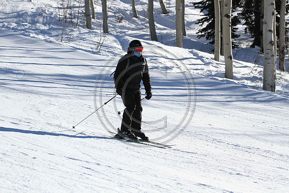 E7D_0578