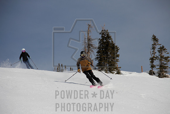 _MG_0394