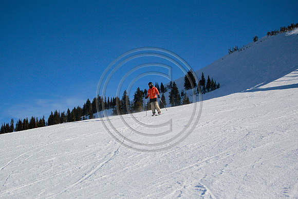 _DC_0233