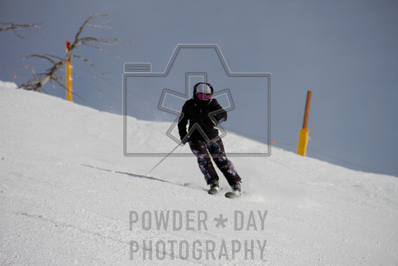 _MG_0101