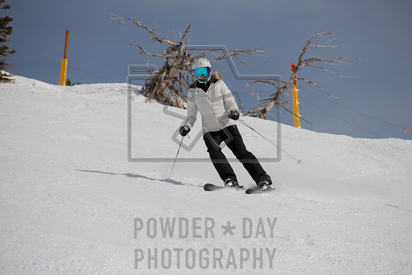 _MG_0442