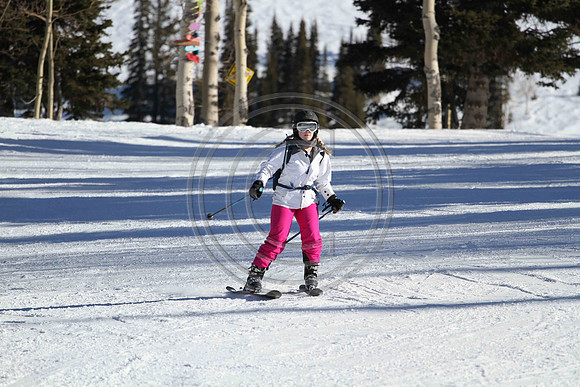 E7D_2983