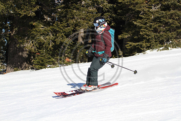 E7D_0737