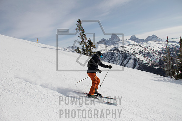 _MG_0441