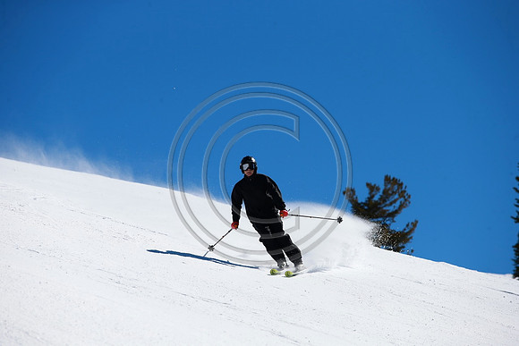 B21R3681