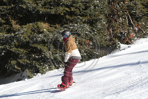 IMG_0417