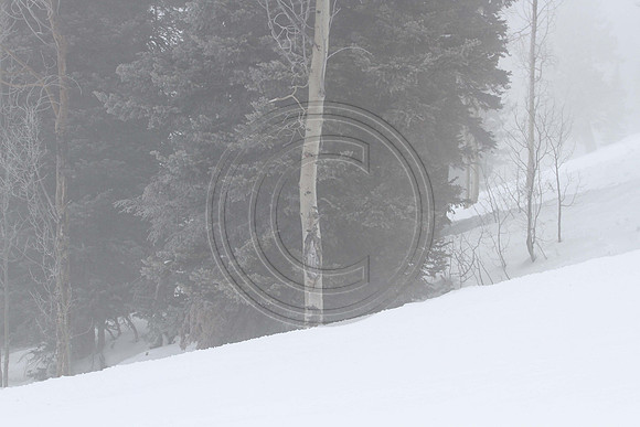 E7D_4211