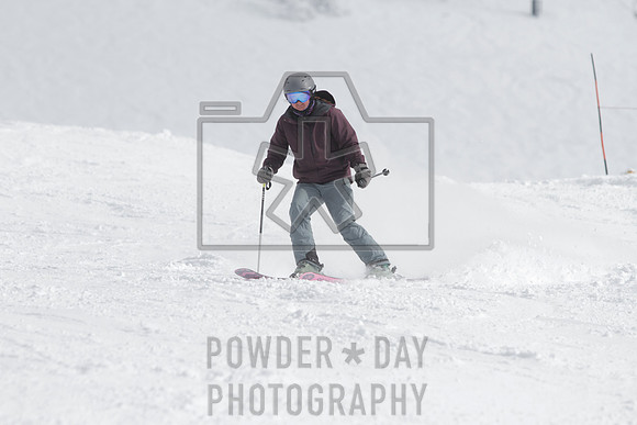 _MG_0041