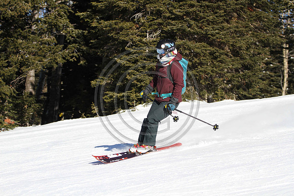 E7D_0736