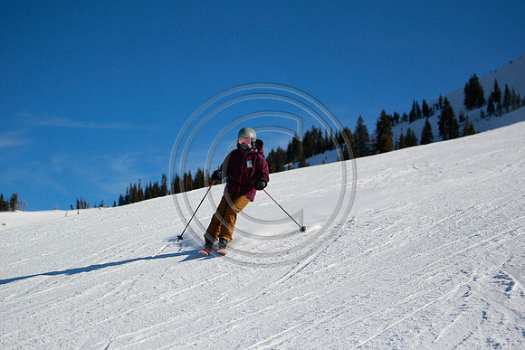 _DC_0272