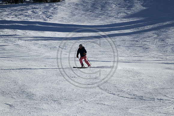 E7D_3313