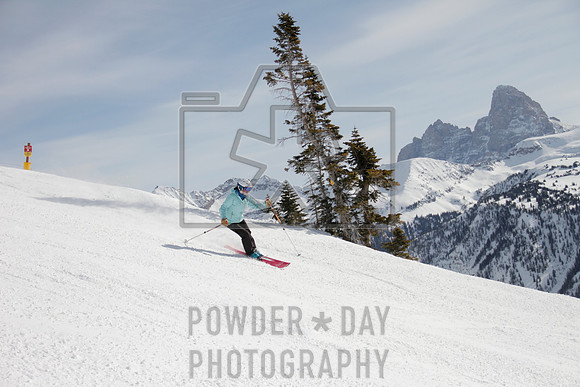 _MG_0231