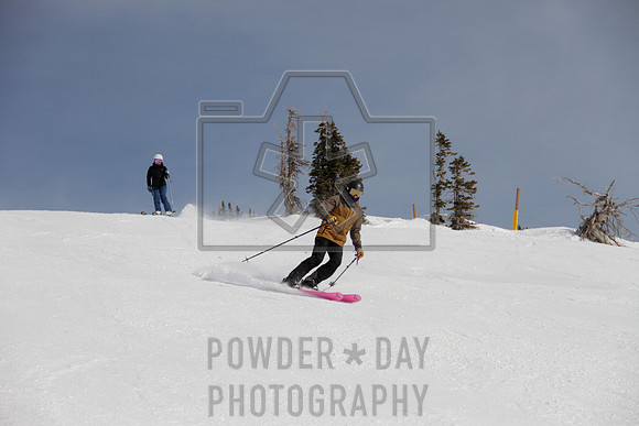 _MG_0395