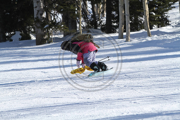 IMG_0238